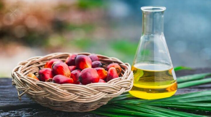 Dispelling Myths about Palm Oil